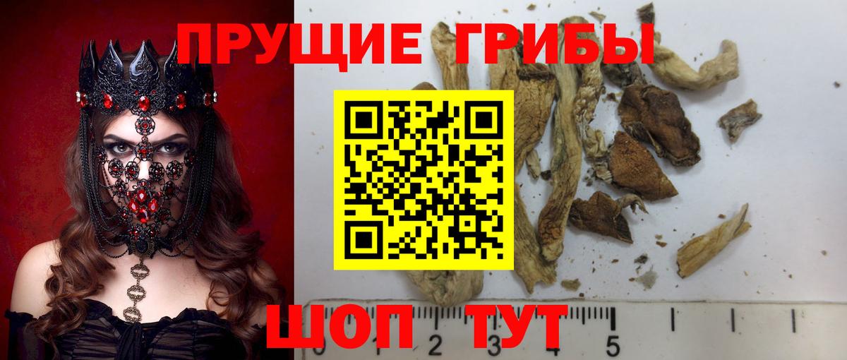 Псилоцибиновые грибы Psilocybine cubensis  Галлюциногенные грибы Psilocybe  Архангельск  продажа наркотиков  Вход с VPN 
